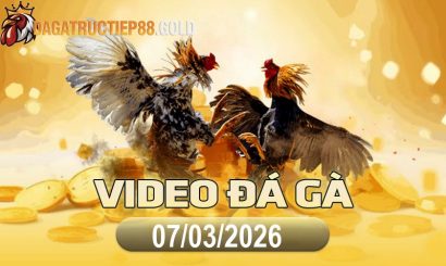 img video da ga cpc4 1772928220