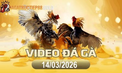 img video da ga cpc4 1773533306
