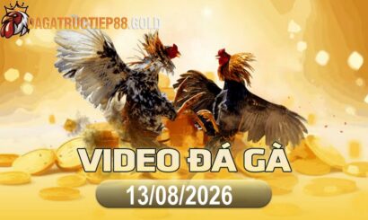 img video da ga cpc4 1786665607